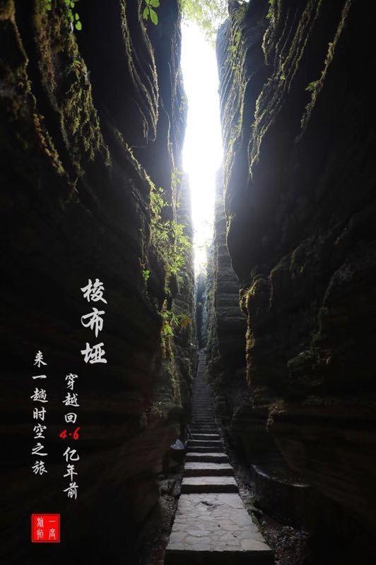 阿尔法S/T森林版PRO至高近6万元年终大礼来袭 力压汉EV 小鹏G6