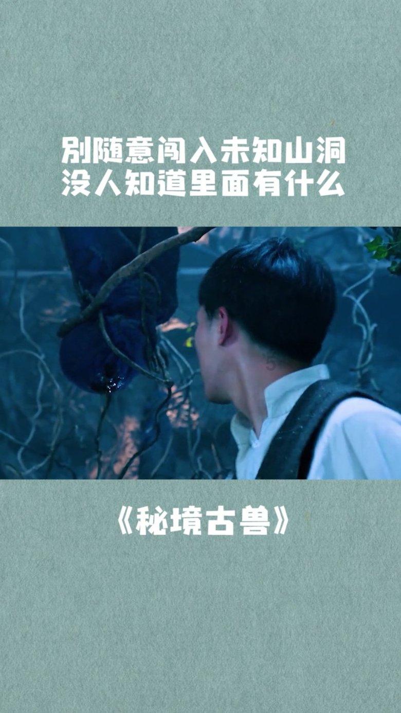 探索蛋白质与多肽链的关系主题的全新红迪网平台