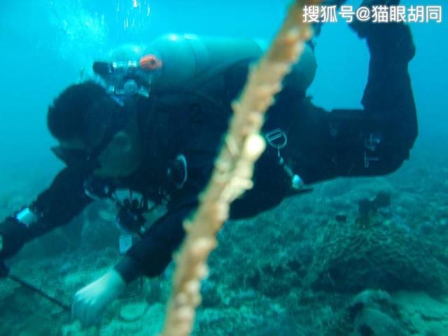 沙漠赛道驾驶