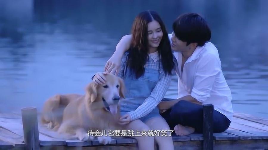 沪江开心词场