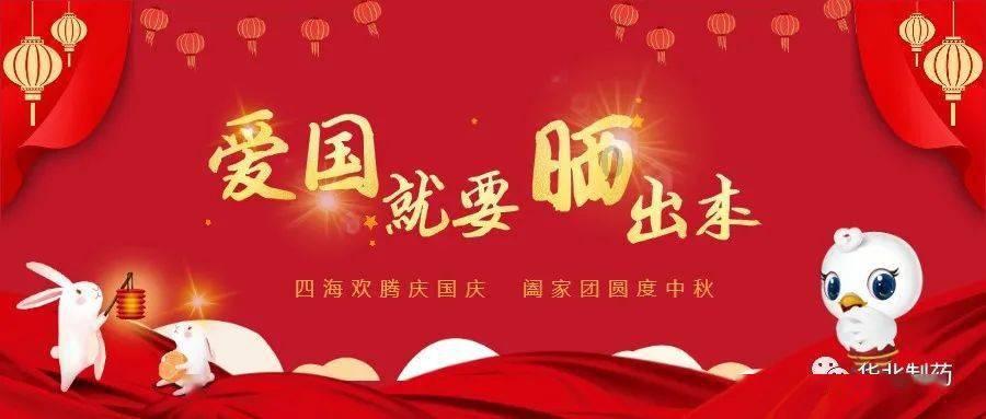 卡通考拉救援