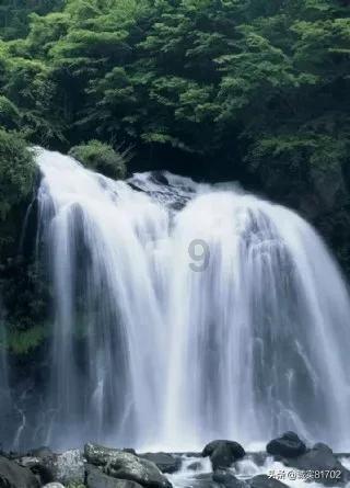 青田的教与育,更好了!