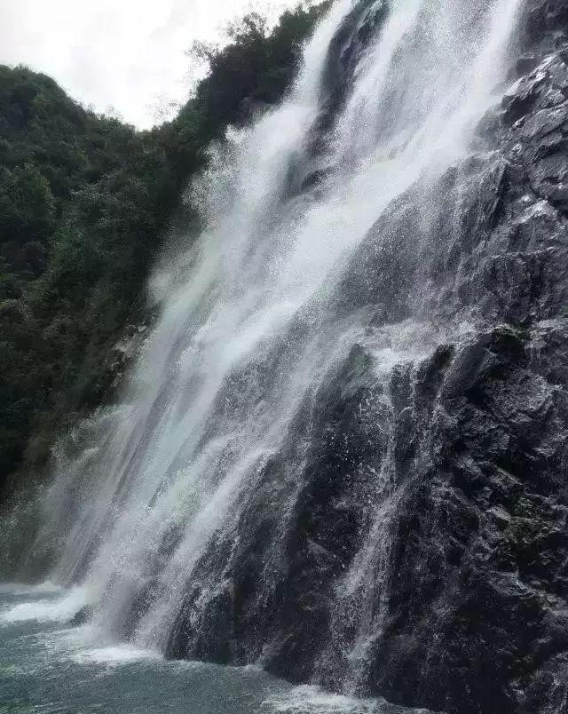 救援小孔雀