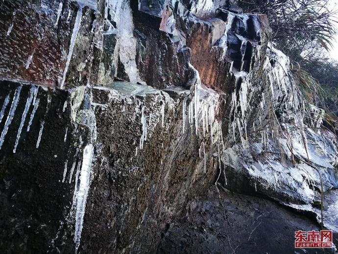 小猫钓鱼游戏龙王版有船