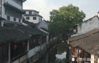 植物大战僵尸20